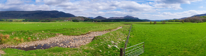 Weidelandschaft in den schottischen Highlands