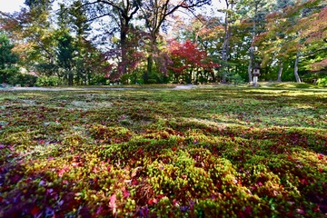 日本の奈良の紅葉