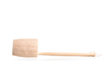 Luffa sponge natural fiber for body scrubbing isolated on white