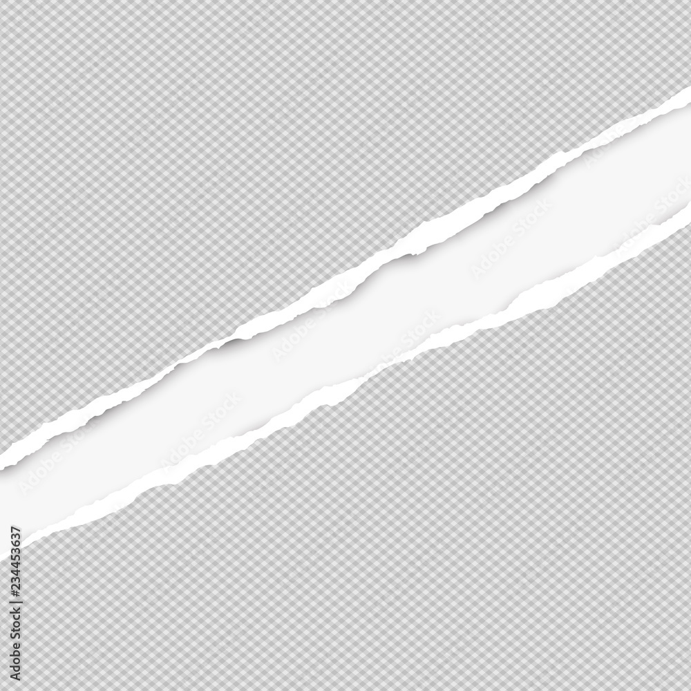 Poster squared ripped diagonal grey paper for text or message are on white background. vector illustration
