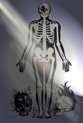 Skulls and dark room and light effect background