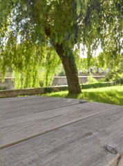 Table de jardin