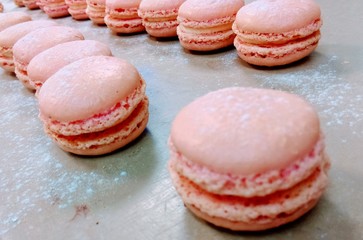 Macarons rose