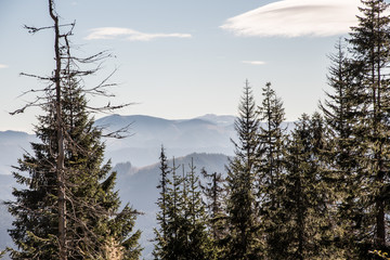 Kralovoholske Tatry mountains with highest Kralova hola hill from sedlo Javorie above Demanovska dolina valley in Slovakia © honza28683