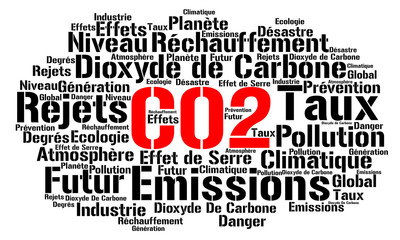 CO2 nuage mots 
