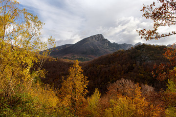 Autumnal landscape of Abruzzo National Park