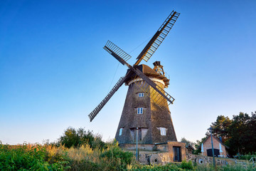 Dutch windmill under blue sky, in Benz on Usedom island. Germany - obrazy, fototapety, plakaty