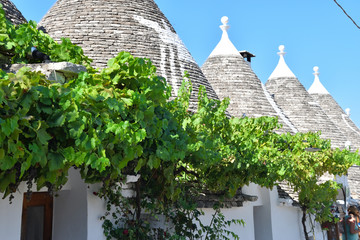Domy w Alberobello  © Barbara Bajorek