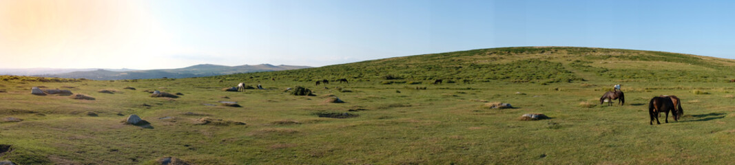 Obraz premium Panorámica del Parque Nacional de Dartmoor
