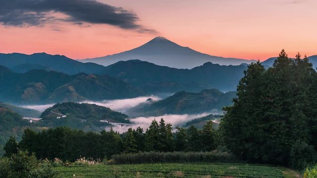 Mt. Fuji with green tea field at sunrise in Shizuoka, Japan.