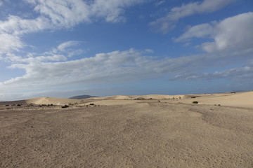 Low sun late afternoon, in the natural park,Corralejo,Fuerteventura,Canary-Islands,Spain.