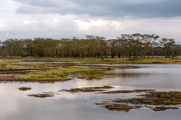 Lake in the jungle of Kenya under a cloudy sky