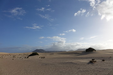 Low sun late afternoon, in the natural park,Corralejo,Fuerteventura,Canary-Islands,Spain.