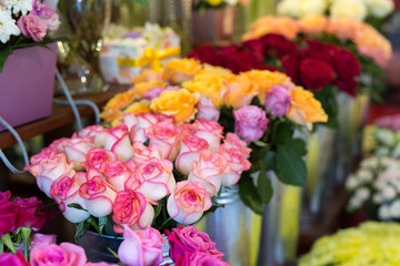 Beautiful colorful flowers in flower shop