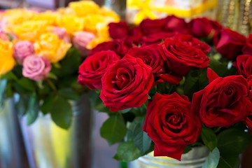 Beautiful colorful flowers in flower shop