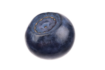 Single blueberry on white background