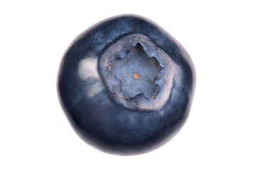 Single blueberry on white background