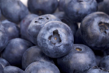 Group of blueberries on white background