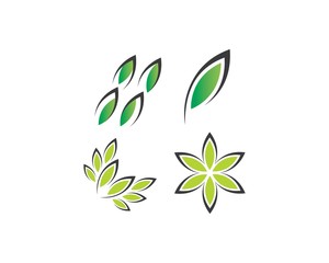 Obraz premium Tree leaf vector logo design