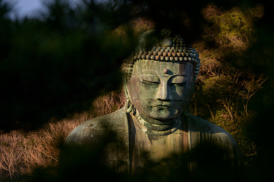 Buddha