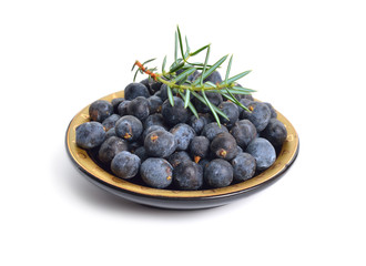 Cones and leaves of Juniperus communis isolated on white background