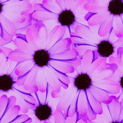 Fototapeta premium Seamless background. Flowers. Stylization: watercolor.