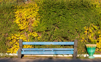 wooden bench in autumn park