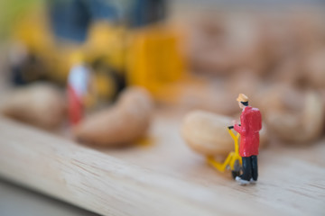 Miniature people selecting cashew