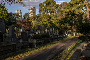 Naklejka premium cmentarz