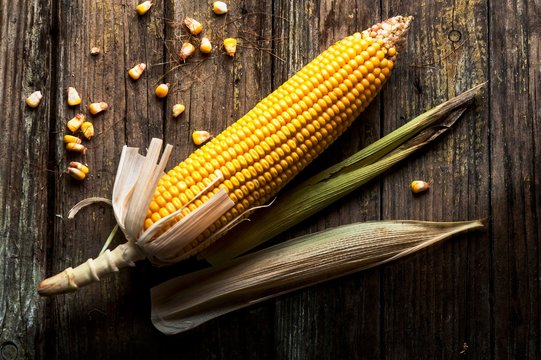 A corn cob on a rustic wooden surface