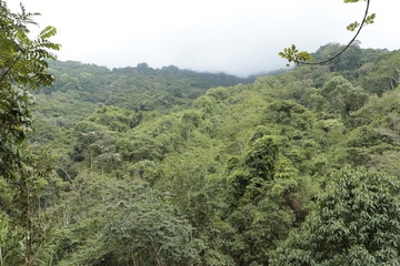 Obraz premium Colombıa Tayrona