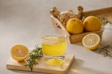 Ginger Ale or Kombucha in Bottle - Homemade lemon and ginger organic probiotic drink, copy space.