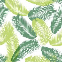 Vector Feathers. Tropical Seamless Pattern with Exotic Jungle Plants. Coconut Tree Leaf. Simple Summer Background. Illustration EPS 10. Vector Feathers Silhouettes or Hawaiian Leaves of Palm Tree.