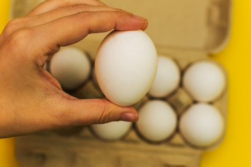 Fototapeta na wymiar egg in hand on background of other eggs