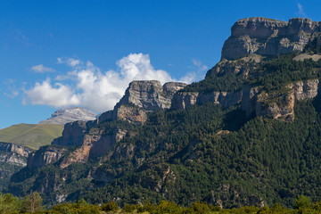 Fototapeta na wymiar Añisclo canyon in Ordesa national park, Spain