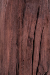 Wood texture background surface with natural pattern,texture and structure of mahogany