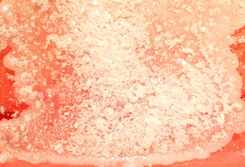 Salt granules on pink backgound