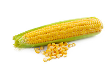 Corn on a white background