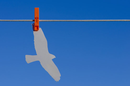 Clothespins, paper bird and sky