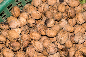 Walnut and walnut kernel. Top view of walnuts in nutshells in full screen