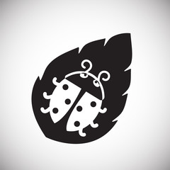 Lady bug on white background icon