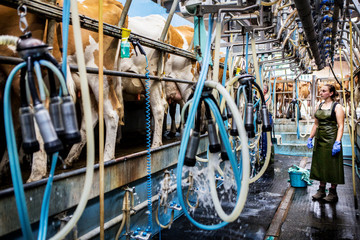 Young woman wearing apron standing in milkshed