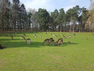 Naturpark Granat