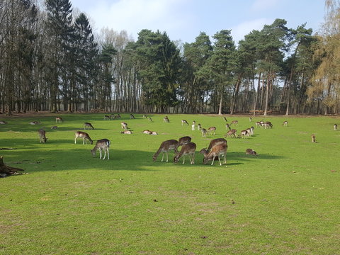 Naturpark Granat