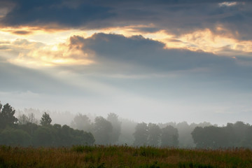Obraz na płótnie Canvas Landscape with mist on the field.