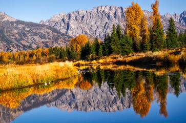 Schwabacher Landing, Grand Teton National Park