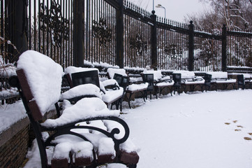 snow-covered benches, branches and trees in the city park