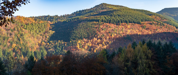 Le Vorhofkopf de Kaysersberg et la forêt communale de kaysersberg en automne, Alsace, France