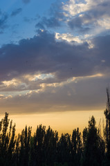 Landscape with dramatic light - beautiful golden sunset with saturated sky and clouds.