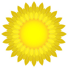 Sun icon. Vector illustration of a bright sun made of petals. Logo sun.